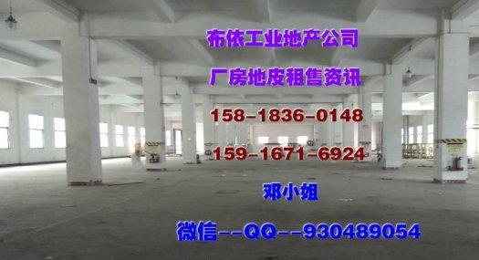惠州市惠东县大岭镇３９７３０平方工业地皮出售(国有证件)