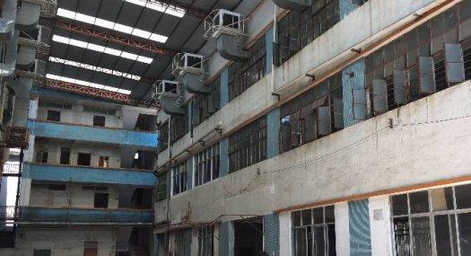 凤岗油甘埔楼上标准货梯主线到车间地坪漆厂房800平