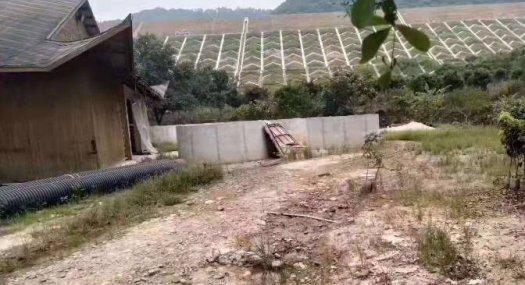 租5块每平 凤岗镇黄洞农庄出租14000平有现成水电合同5年