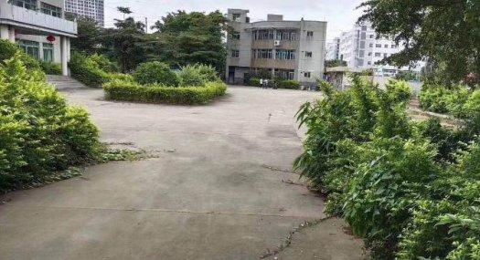 凤岗花园式标准独院厂房出租总面积15500平方，可分租，