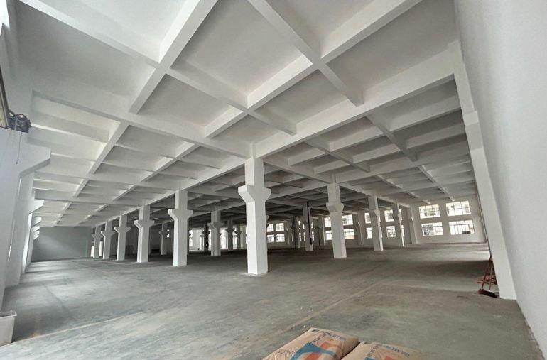 大朗原房东独院八米高厂房带牛角分租