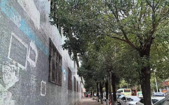 一层钢结构8900平厂房，东城环城路旁，采光好