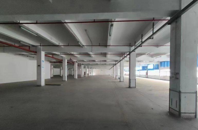 大小可分租《可一次性签10年合同》