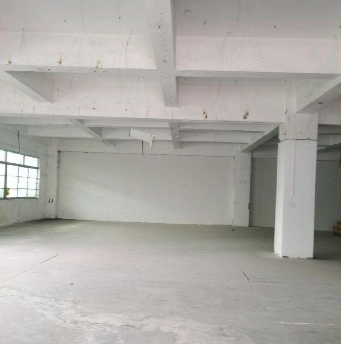 大小可分租，租金优惠