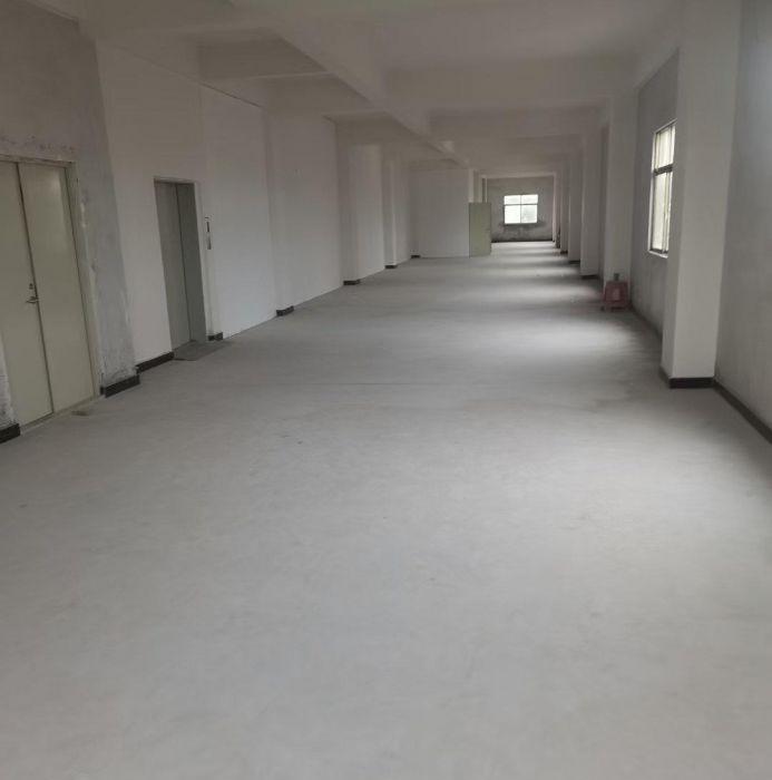 原房东招租！2-3楼每层600平（实际面积，无公摊）