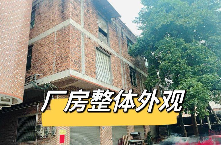 寮步镇上屯村西南路厂房，2楼430平米