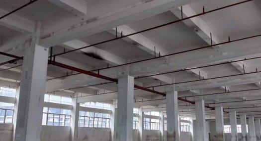 凤岗雁田凤深大道花园式独院厂房出租12200平 300起分