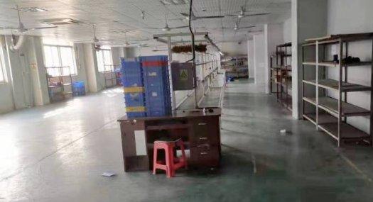 东莞东莞凤岗3000㎡ 厂房租售层高6米 配电315KVA 独院 可环评 可分租