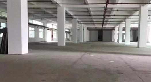 清溪三星独门独院厂房出租 配电500 空地超大 可分层租