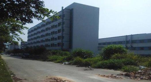 东莞市塘厦镇６０００平方米标准独院厂房出租（原业主）