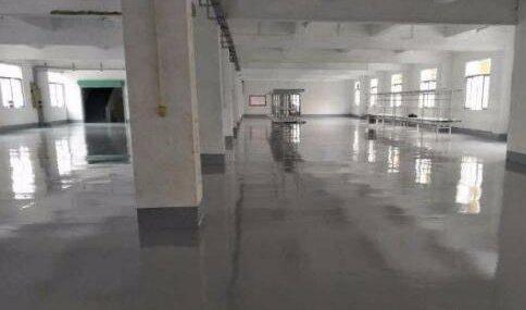 塘厦沙湖靓丽小独院5000平方，带装修！近桂花