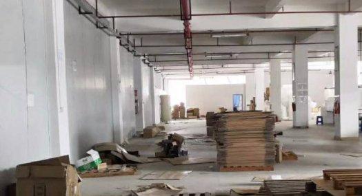 凤岗油甘埔电子 毛刷 小加工厂房出租1600平靠近主干道