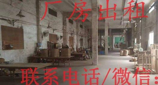 东莞杨屋杨朗路旁6000㎡ 厂房租售层高6米 配电1200KVA 独院 可环评