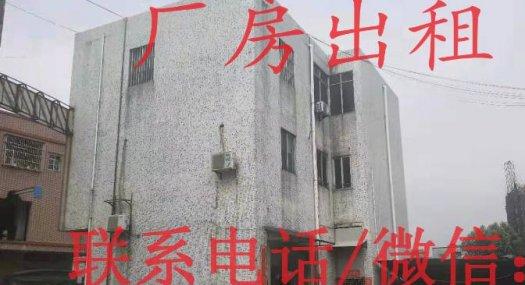 东莞杨屋杨朗路旁6000㎡ 厂房租售层高6米 配电1200KVA 独院 可环评