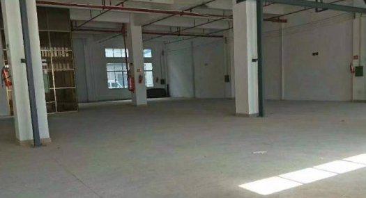 凤岗油甘埔注塑设备五金模具厂房出租1100平 现成办公室装修 可装峰谷表