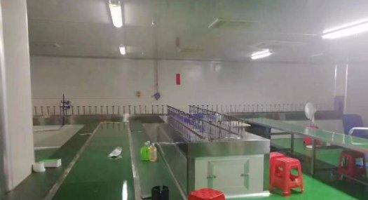 凤岗镇中心出租自动喷油厂房带环评证转让 空地大