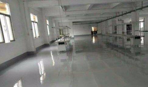 塘厦沙湖靓丽小独院5000平方，带装修！近桂花