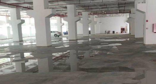 凤岗金凤凰独栋厂房出租 带牛角 可办环评 可分租