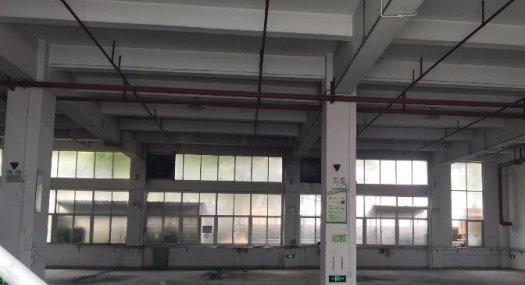 凤岗雁田布心一楼现成水电注塑五金厂房800平出租