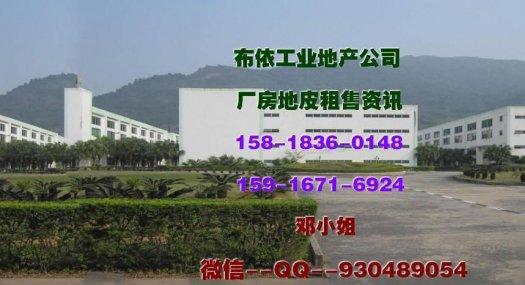 东莞市塘厦镇２５０００平米独院厂房出租