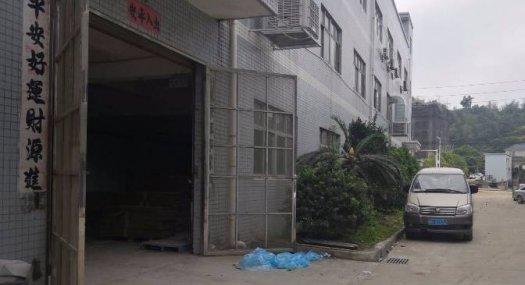 凤岗金凤凰注塑，设备，五金拎包入驻厂房出租600平