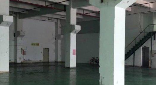 凤岗雁田布心附近出租一楼7米高带牛角带装修厂房2600平