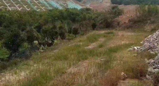 租5块每平 凤岗镇黄洞农庄出租14000平有现成水电合同5年