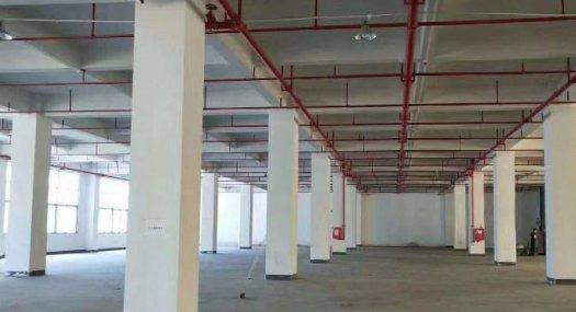 好招工交通方便凤岗官井头原房东厂房出租一楼2700平合同期长