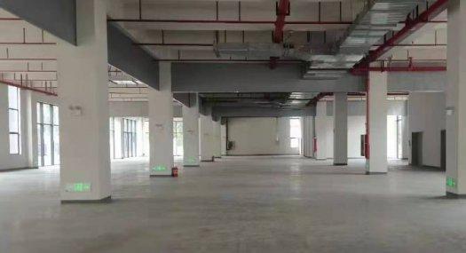 东莞塘厦科苑城原房东全新厂房优惠出租