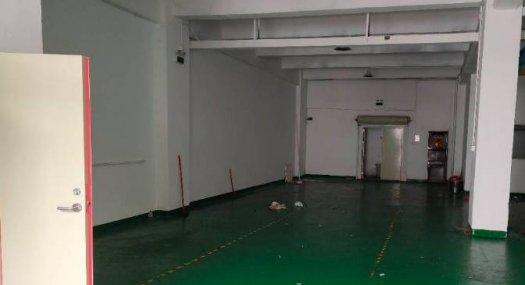 乐从新出一楼700平精装修厂房出租