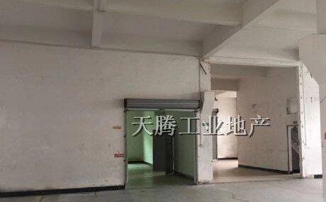 佛山顺德 框架厂房，独院3680方租售