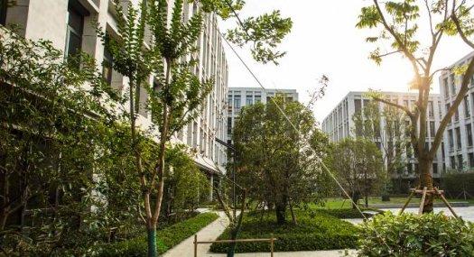 顺德经促联合乐从开发商直销，50年产权厂房，可按揭