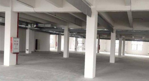 佛山南海 里水镇河村西紫工业区园内5000㎡ 厂房租售层高6米 可分租