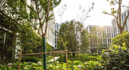 顺德经促联合乐从开发商直销，50年产权厂房，可按揭