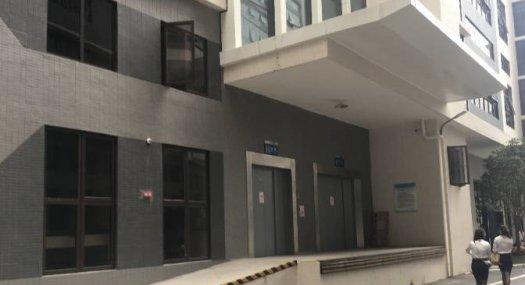 顺德区杏坛镇全新厂房 面积2231平方 配电320千瓦 丙二类消防 可分租