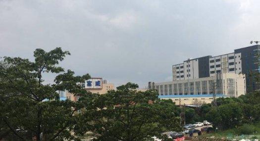 顺德区杏坛镇全新厂房 面积2231平方 配电320千瓦 丙二类消防 可分租