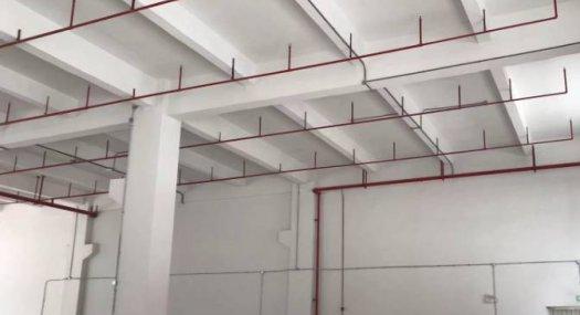 5字头出售顺德独栋厂房 国有50年 M2用地 可办二级环评 全新4层独栋 仅2成首付 顺德智荟港