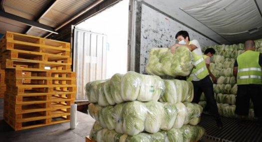 想找佛山冷库，找哪家冷链物流公司好呢？佛山领鲜冷库领鲜冷链