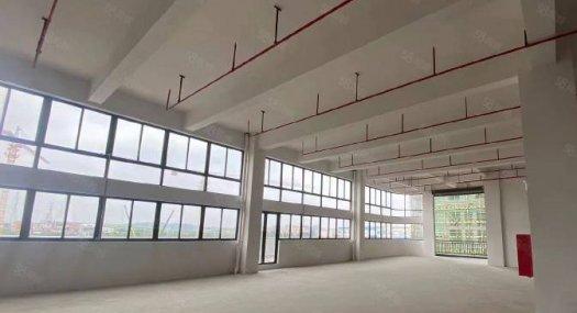 湾区4层稀缺独栋产品！！！！