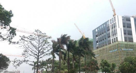 顺德区杏坛镇全新厂房 面积2231平方 配电320千瓦 丙二类消防 可分租