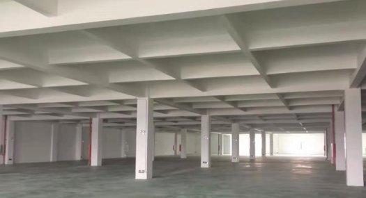 佛山顺德 佛山市高明区杨和镇新建楼房厂房 46000㎡ 厂房租售层高11米 独院 可环评 可分租