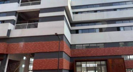 佛山高明 3000㎡ 厂房出售，独栋价格2999元/平，现房，清盘优惠