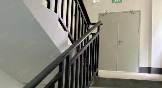 2600至14000平 4层独栋厂房 M2用地 顺德勒流