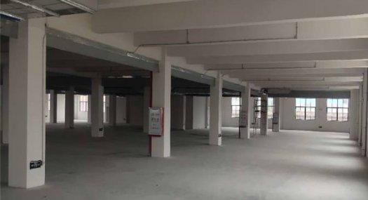 佛山南海 里水镇河村西紫工业区园内5000㎡ 厂房租售层高6米 可分租