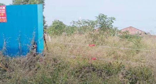 【租售】5000㎡ 空地 独院