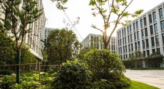 顺德经促联合乐从开发商直销，50年产权厂房，可按揭