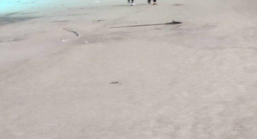 佛山南海 2000㎡ 厂房租售 独院