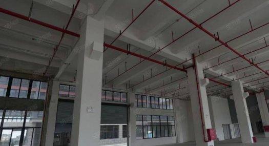 勒流仅有低密度独栋厂房！！！！！