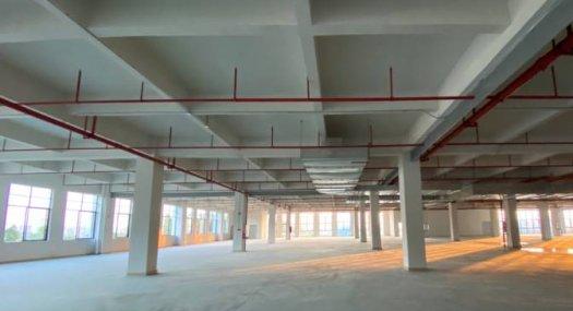 广州黄埔 10000㎡ 厂房租售层高5米 可环评 可分租