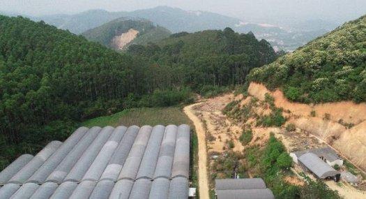 从化区鳌头镇345亩大棚花卉转让